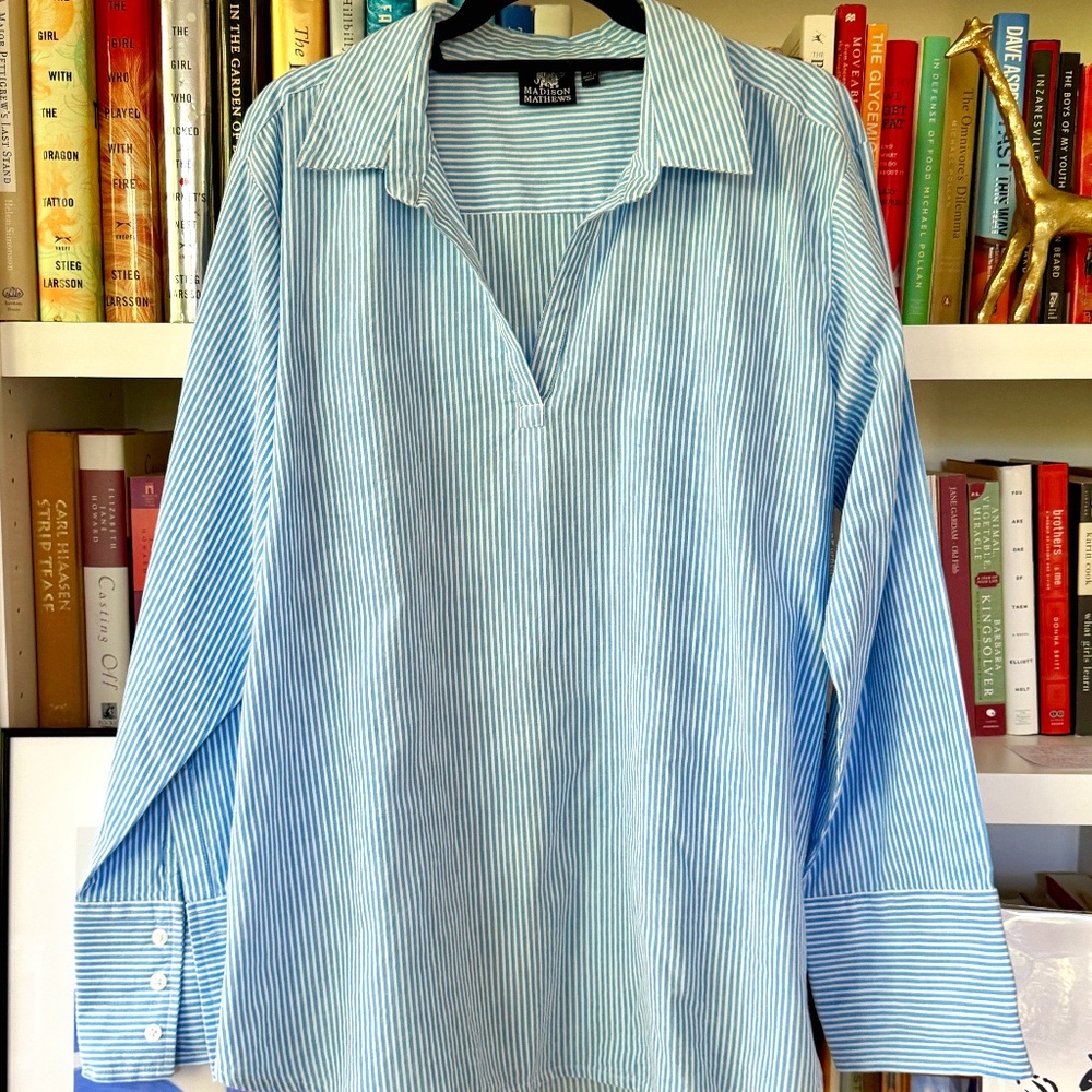 Madison Mathews Long Sleeve Striped Darren Popover, worn once. Size XL